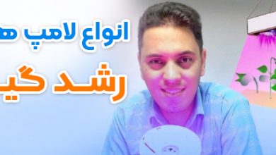 لامپ رشد گیاه چیست